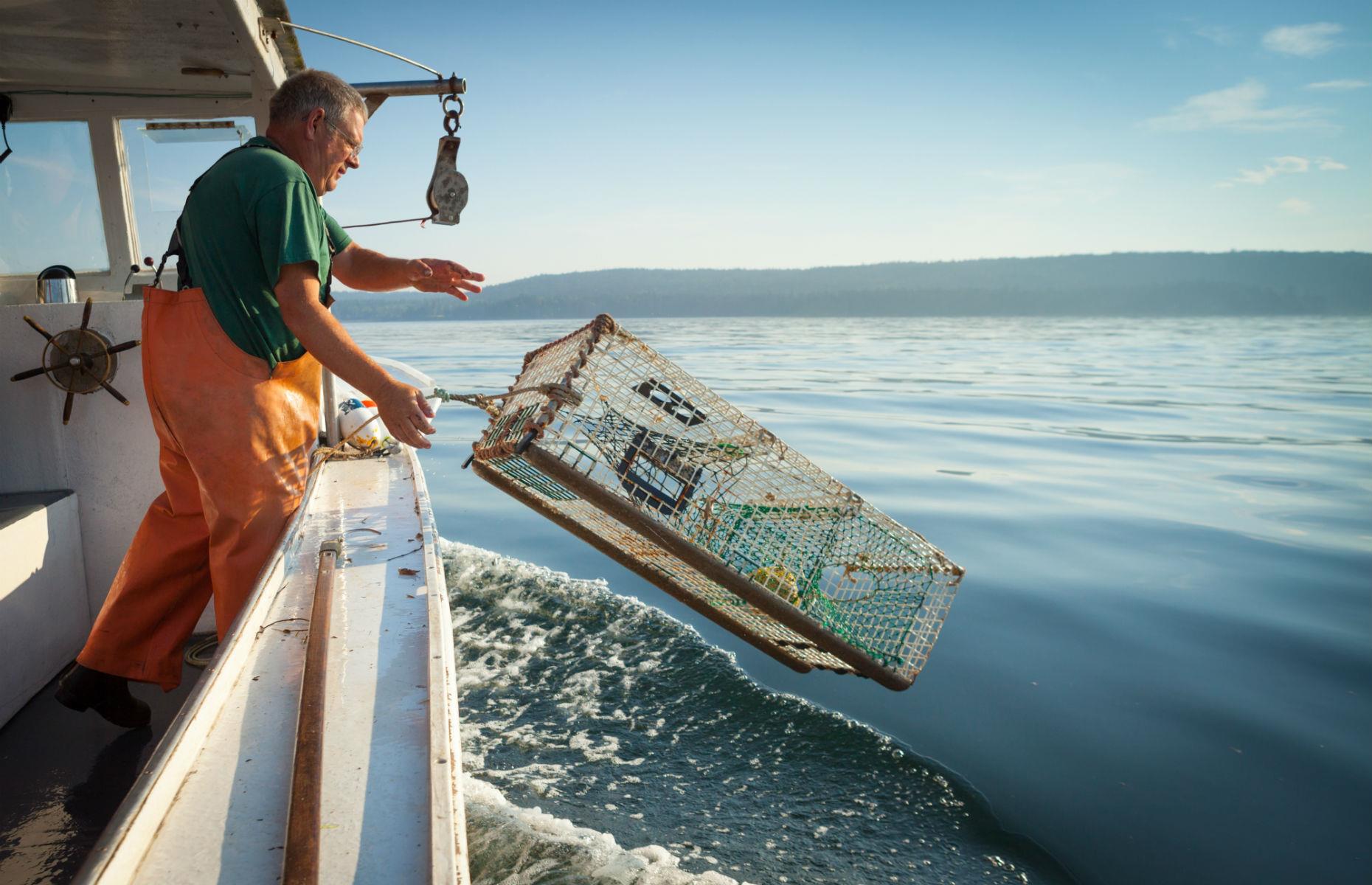 Youngest: Farming, fishing and forestry